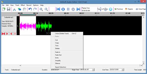 GiliSoft Screen Recorder 12.8