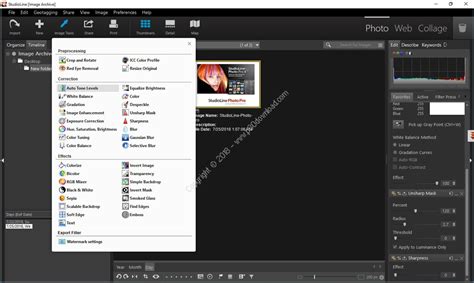 Free StudioLine Photo Pro