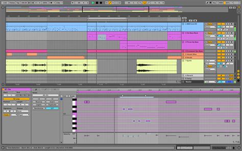 Ableton Live 11 Download With Reviews
